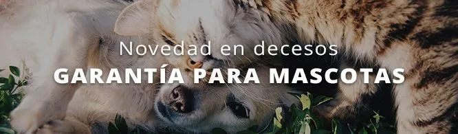 campana decesos garantia mascotas campana decesos garantia mascotas