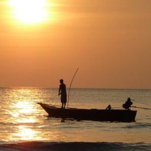 producto pesca